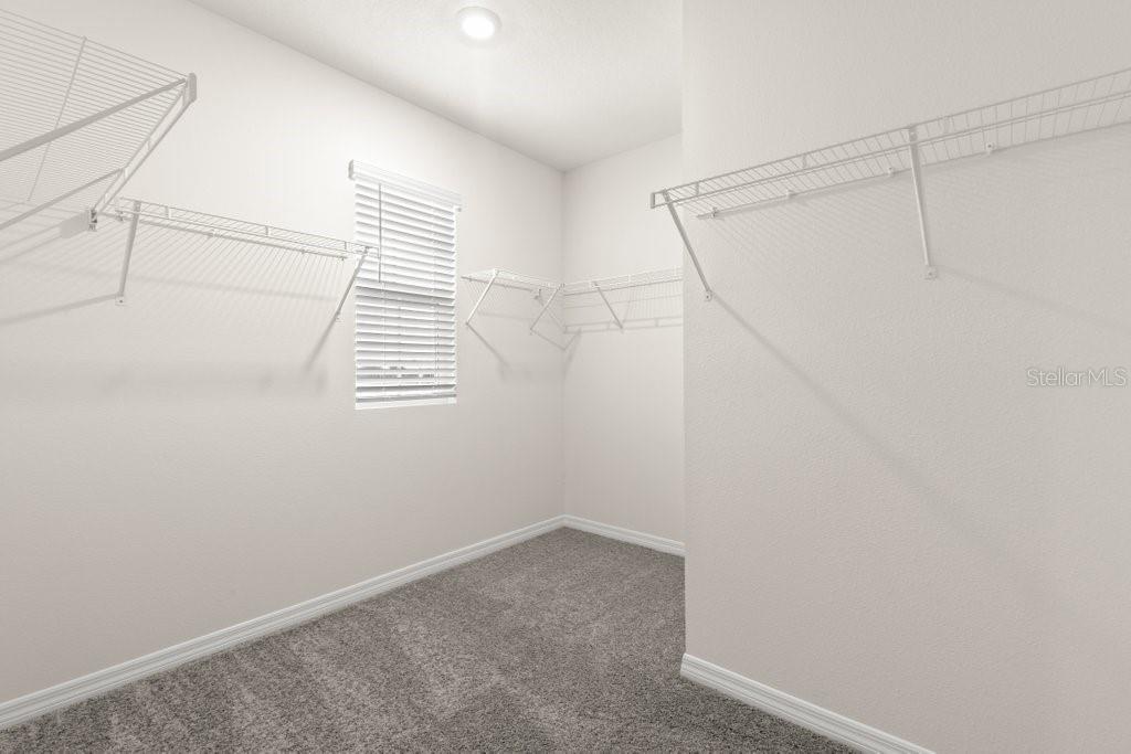 31470 PENNY SURF LOOP, WESLEY CHAPEL, FL, 33545