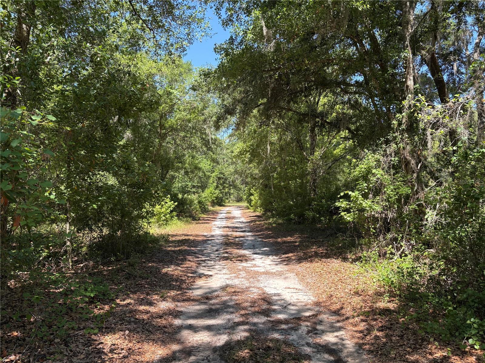 0 GREENBRIAR RD, LAKELAND, FL, 33810