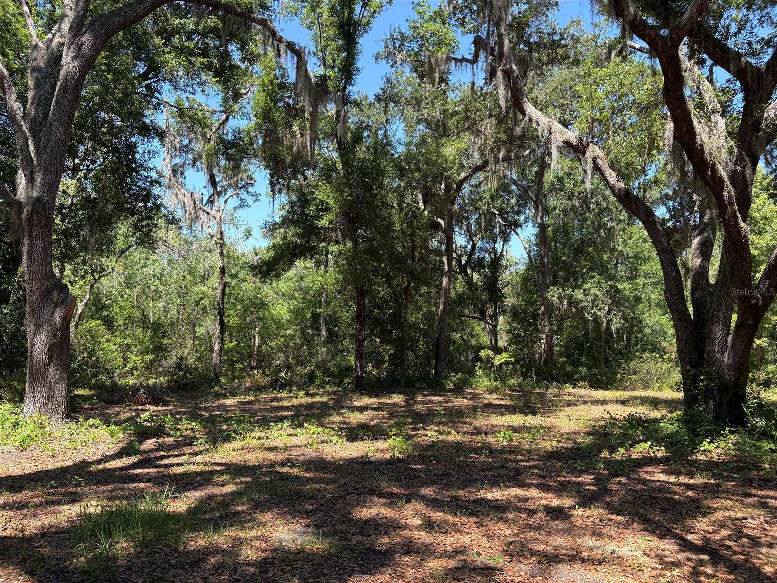 0 GREENBRIAR RD, LAKELAND, FL, 33810