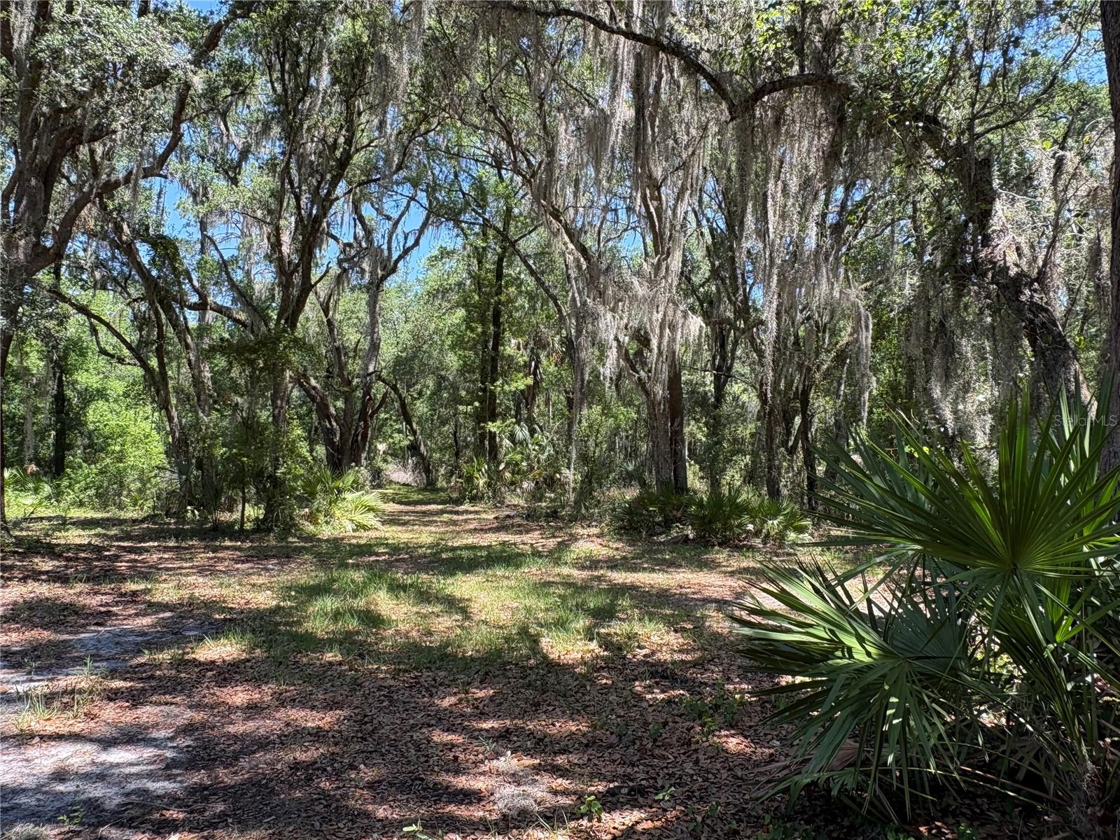 0 GREENBRIAR RD, LAKELAND, FL, 33810