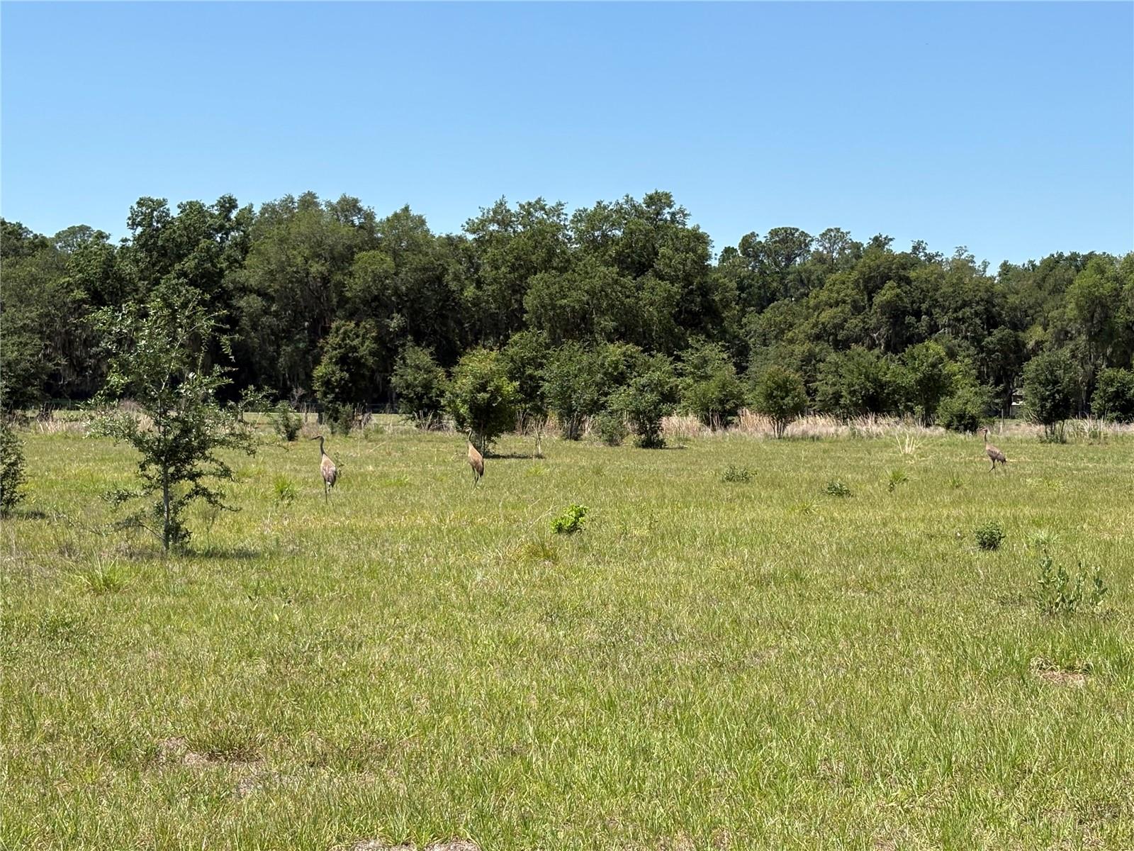 0 GREENBRIAR RD, LAKELAND, FL, 33810