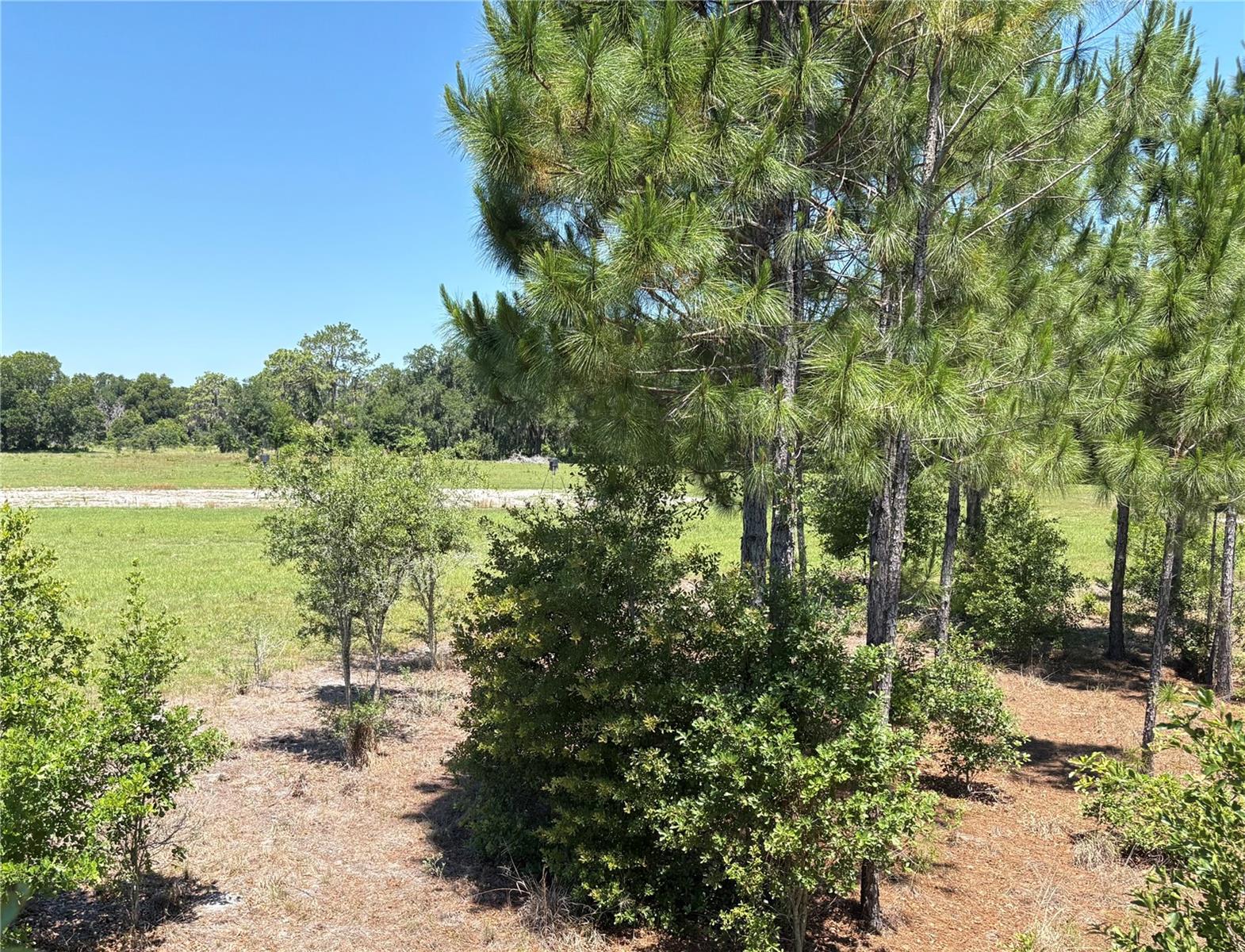 0 GREENBRIAR RD, LAKELAND, FL, 33810