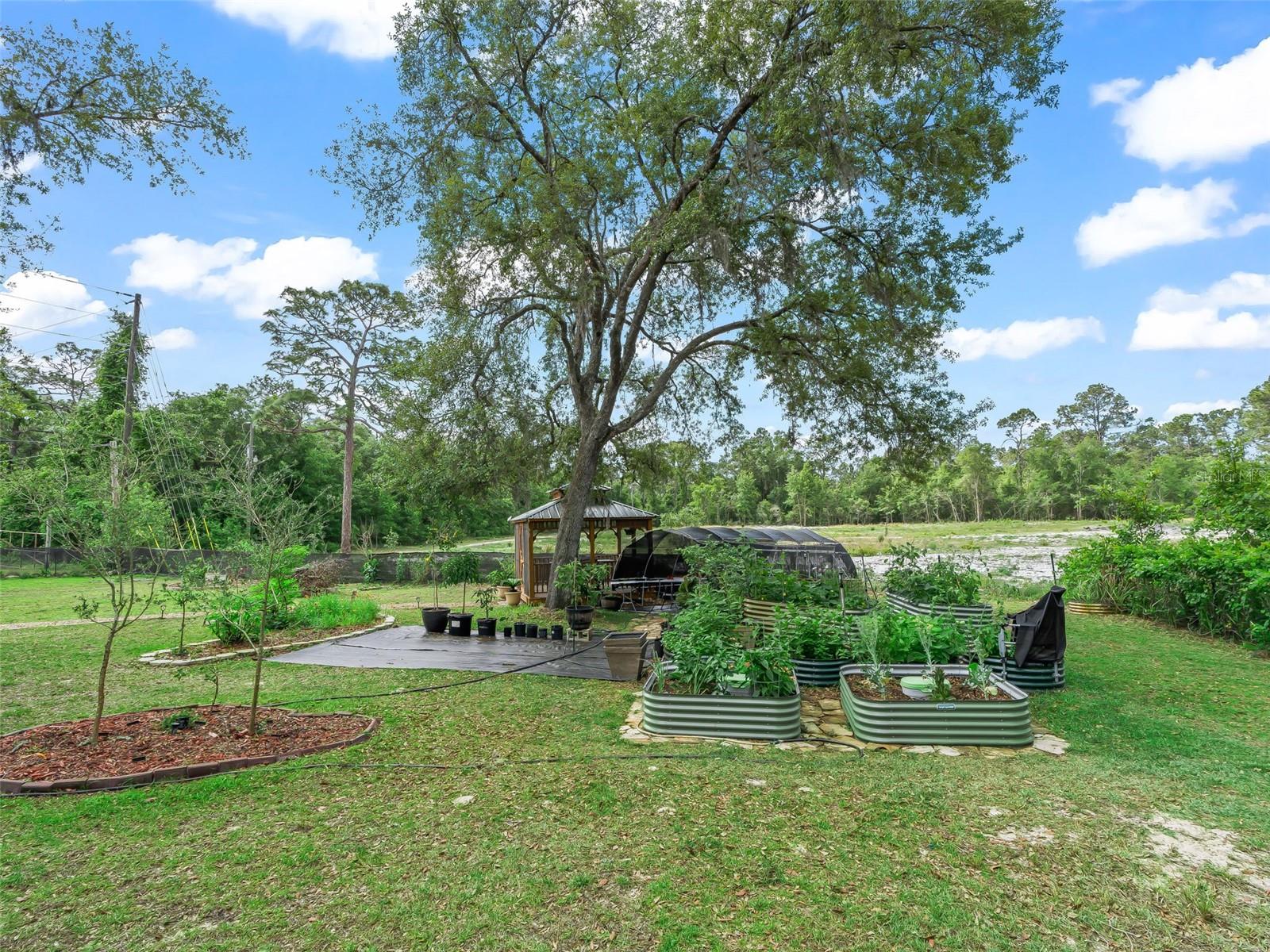 7157 KNOXVILLE DR, WEBSTER, FL, 33597