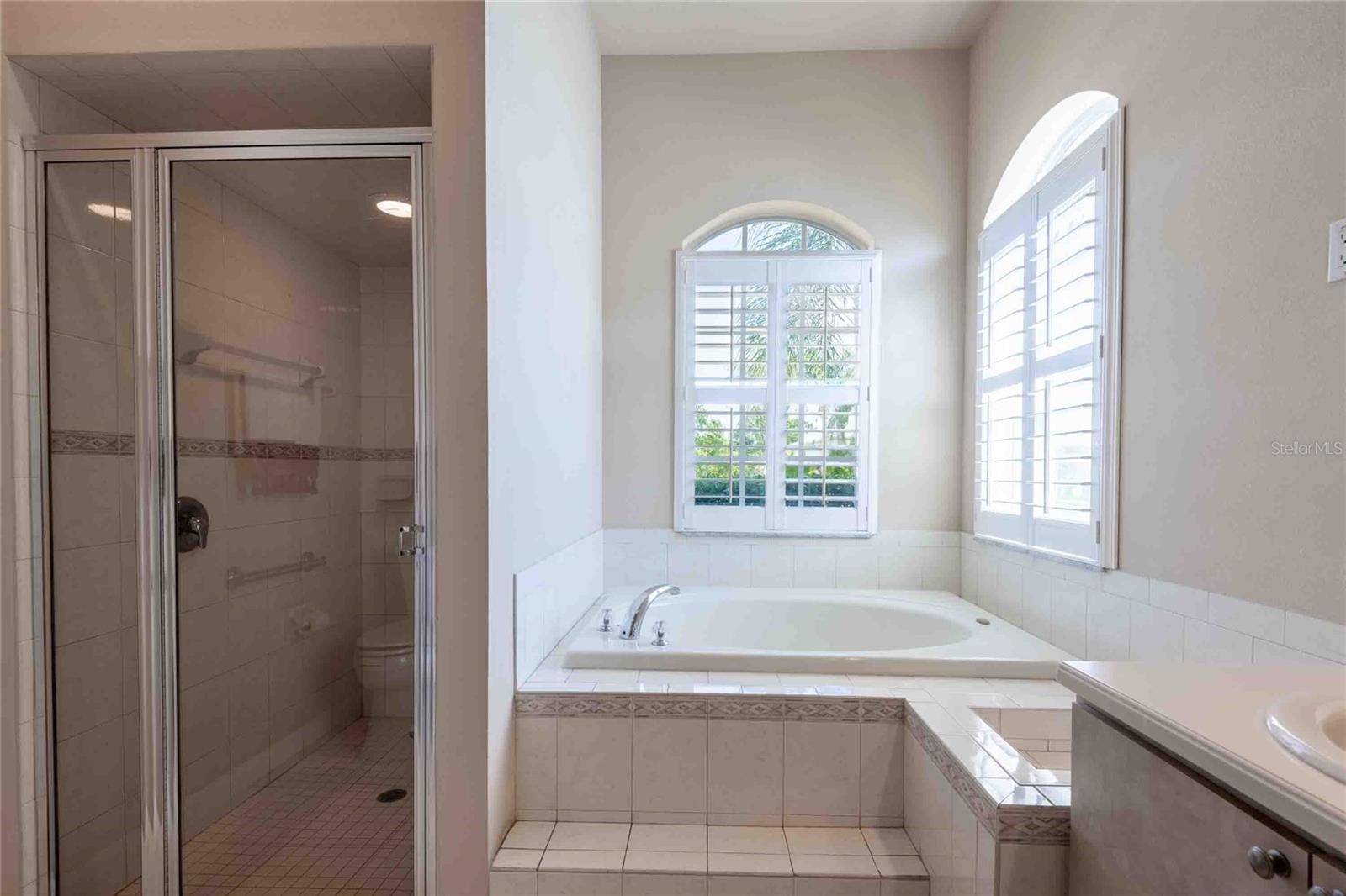 7425 MELOGOLD CIR, LAND O LAKES, FL, 34637