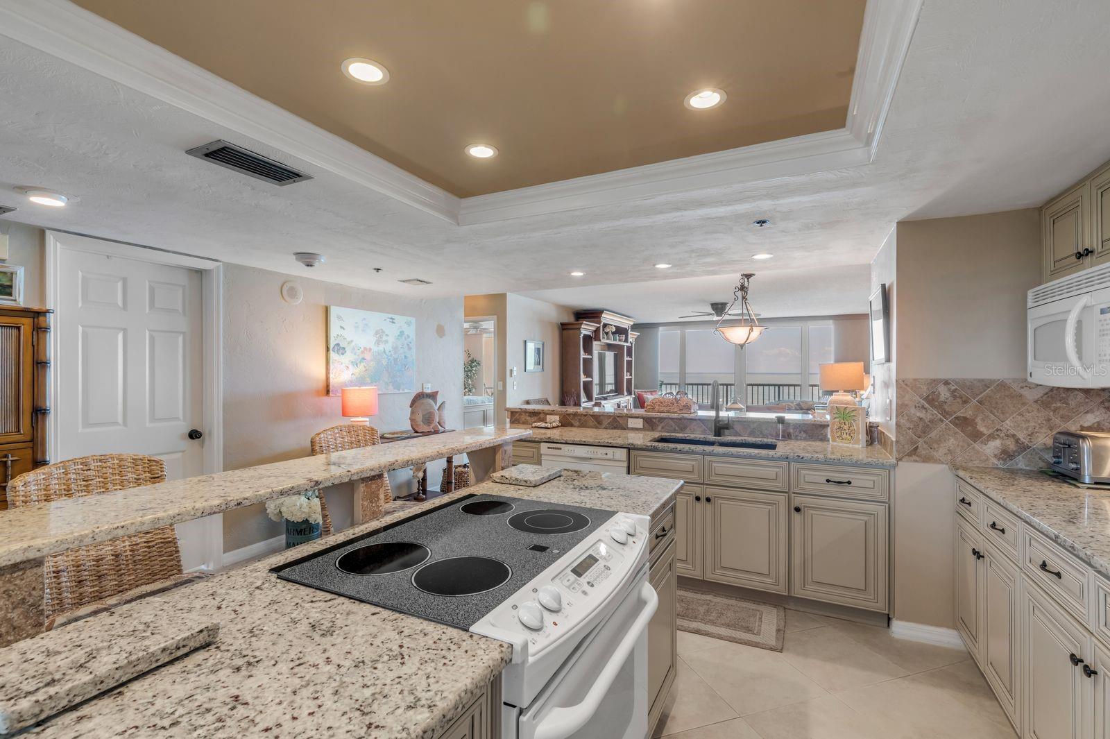 257 MINORCA BEACH WAY #1304, NEW SMYRNA BEACH, FL, 32169
