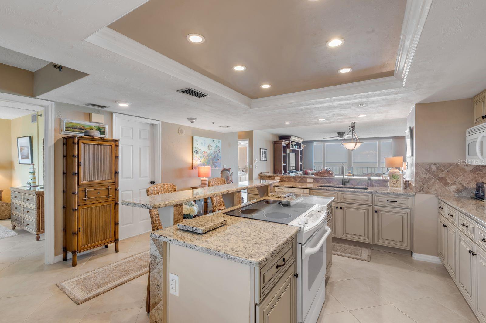 257 MINORCA BEACH WAY #1304, NEW SMYRNA BEACH, FL, 32169
