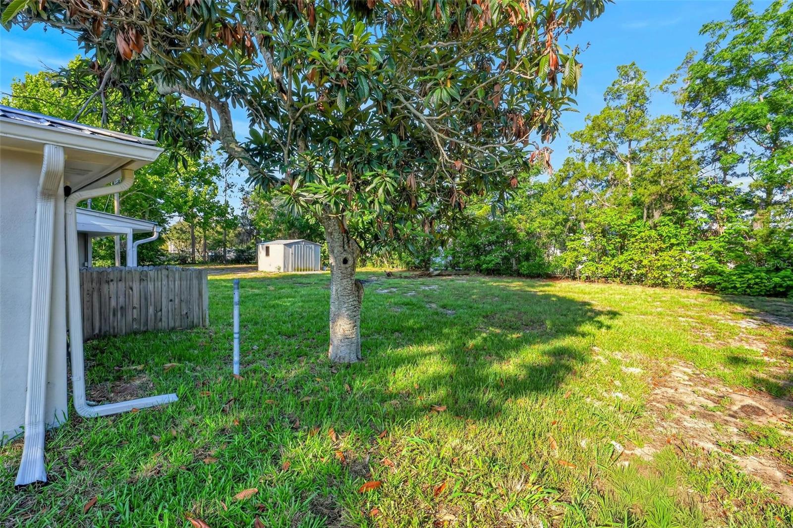 34125 S HAINES CREEK RD, LEESBURG, FL, 34788