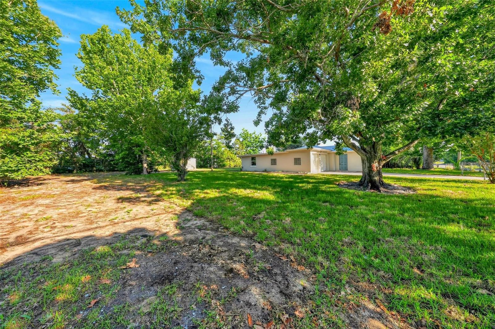 34125 S HAINES CREEK RD, LEESBURG, FL, 34788