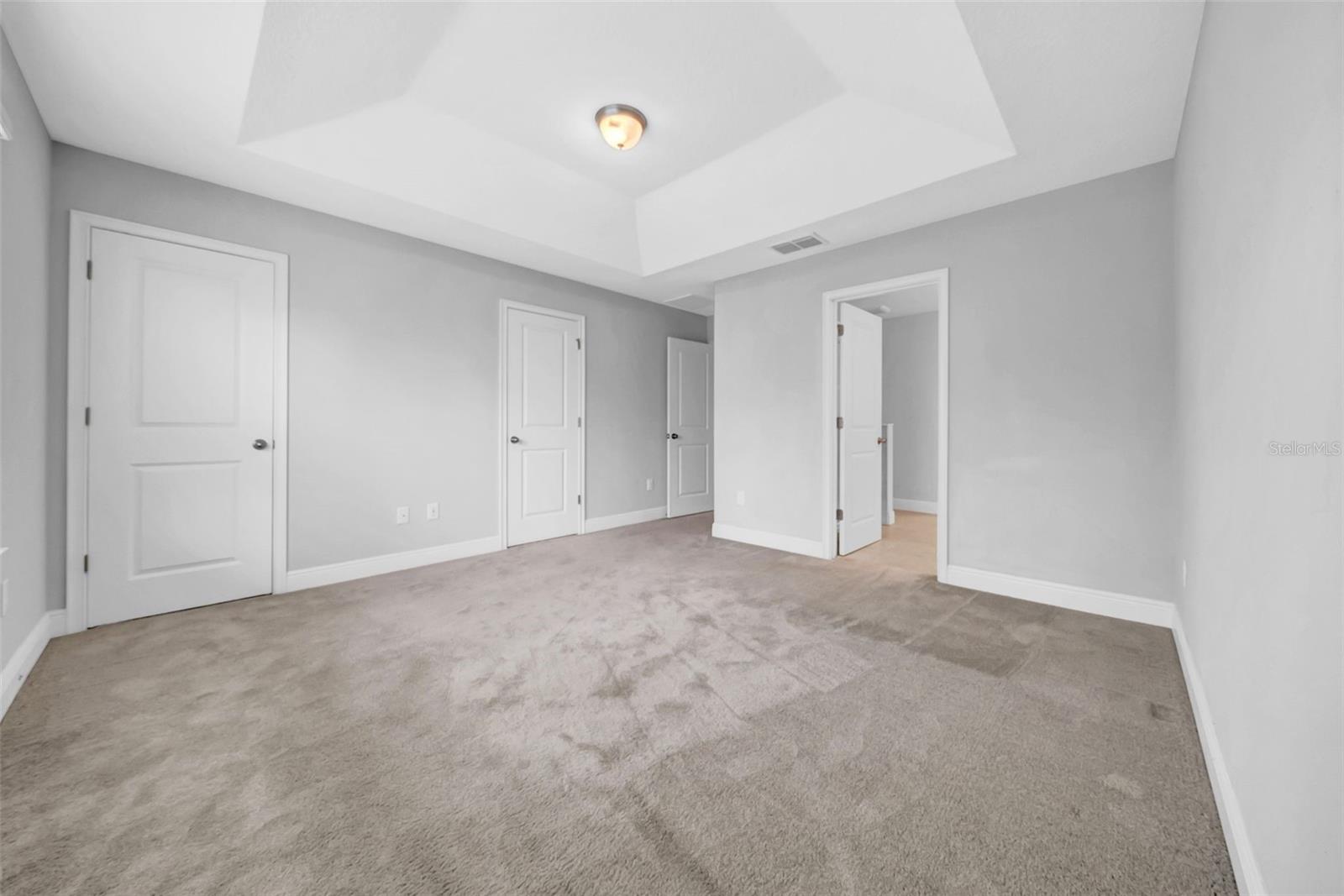 11728 CAMBIUM CROWN DR, RIVERVIEW, FL, 33569
