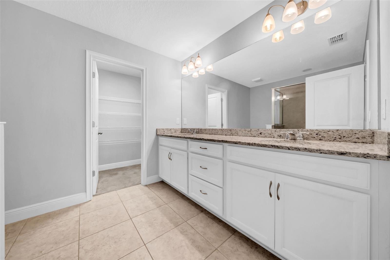11728 CAMBIUM CROWN DR, RIVERVIEW, FL, 33569