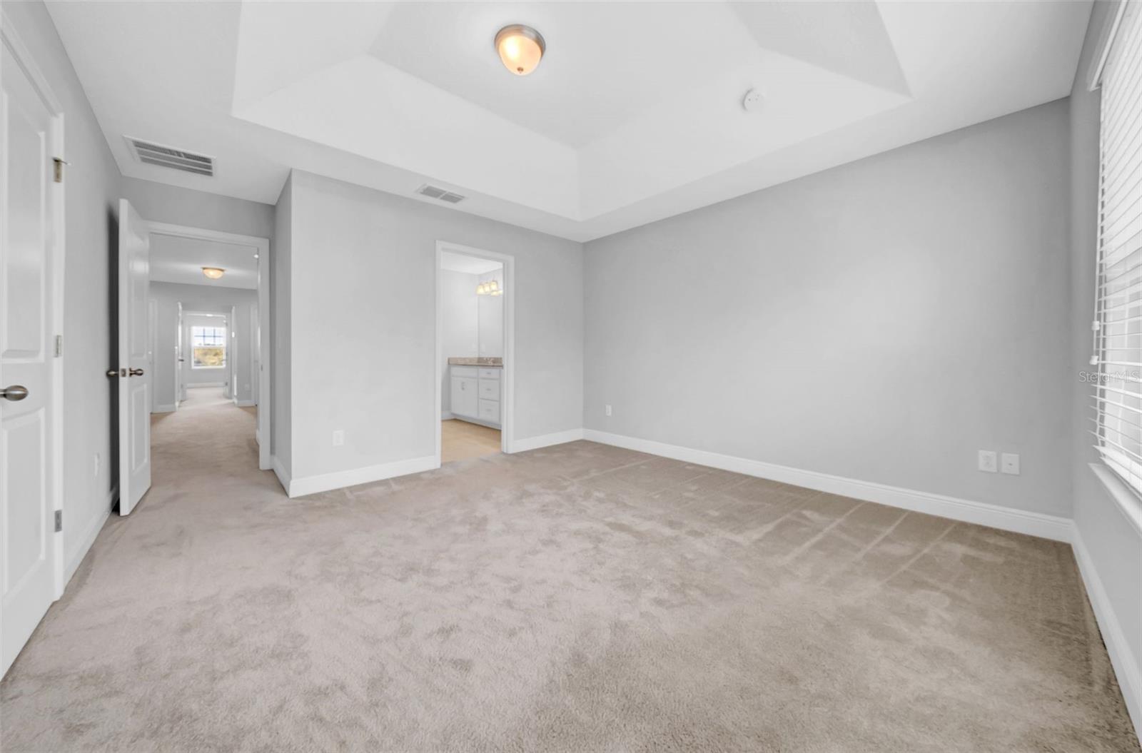 11728 CAMBIUM CROWN DR, RIVERVIEW, FL, 33569