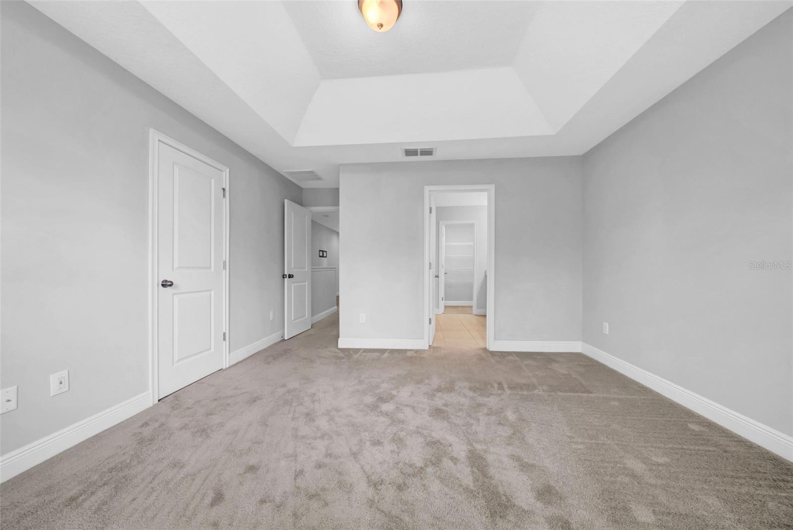 11728 CAMBIUM CROWN DR, RIVERVIEW, FL, 33569