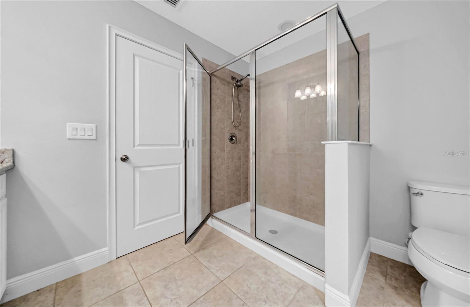 11728 CAMBIUM CROWN DR, RIVERVIEW, FL, 33569