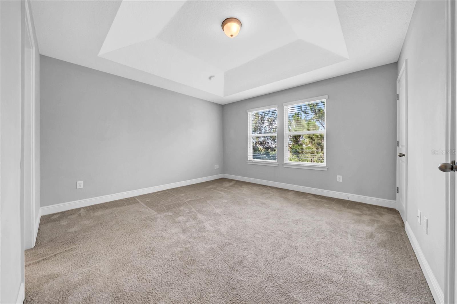 11728 CAMBIUM CROWN DR, RIVERVIEW, FL, 33569