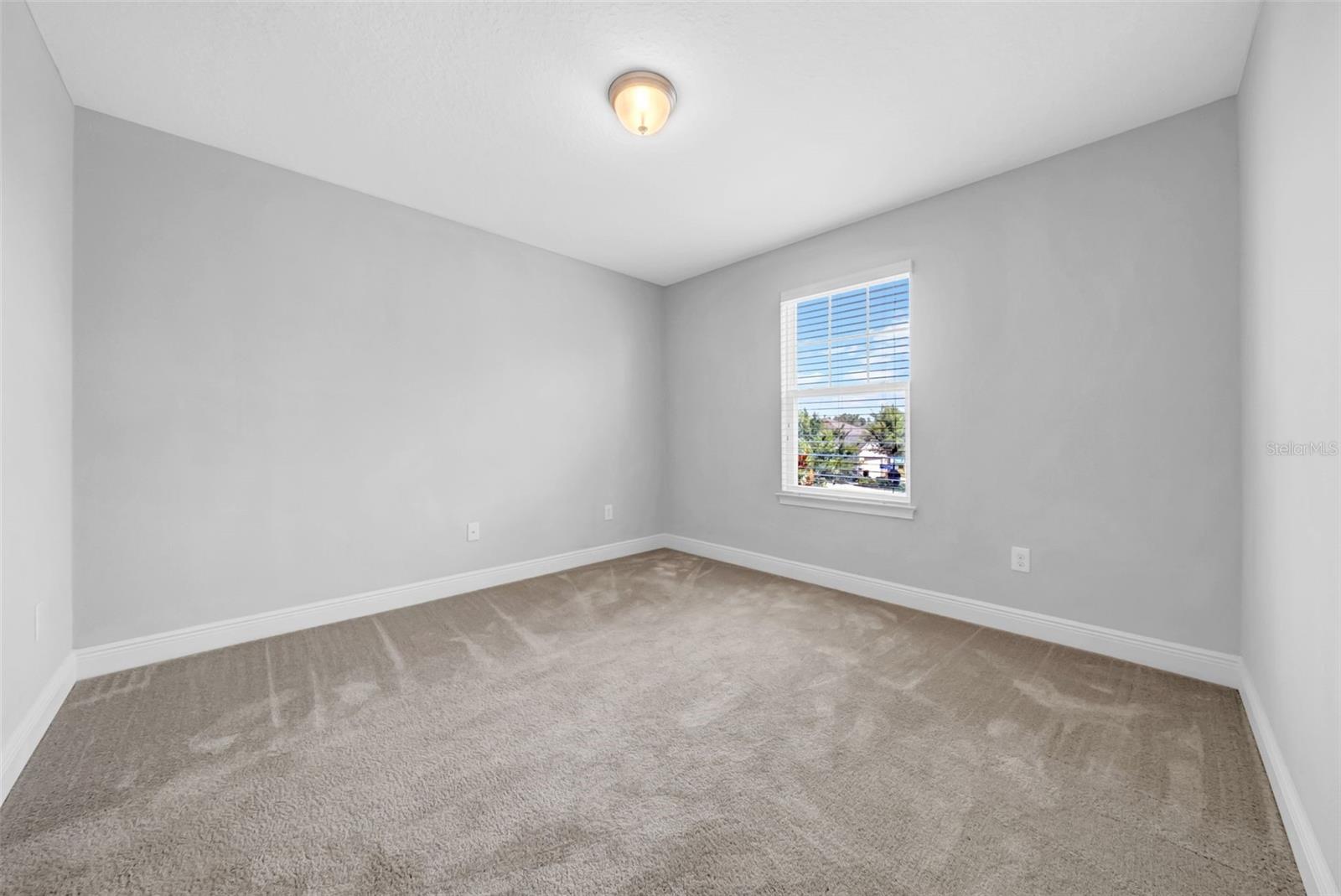 11728 CAMBIUM CROWN DR, RIVERVIEW, FL, 33569