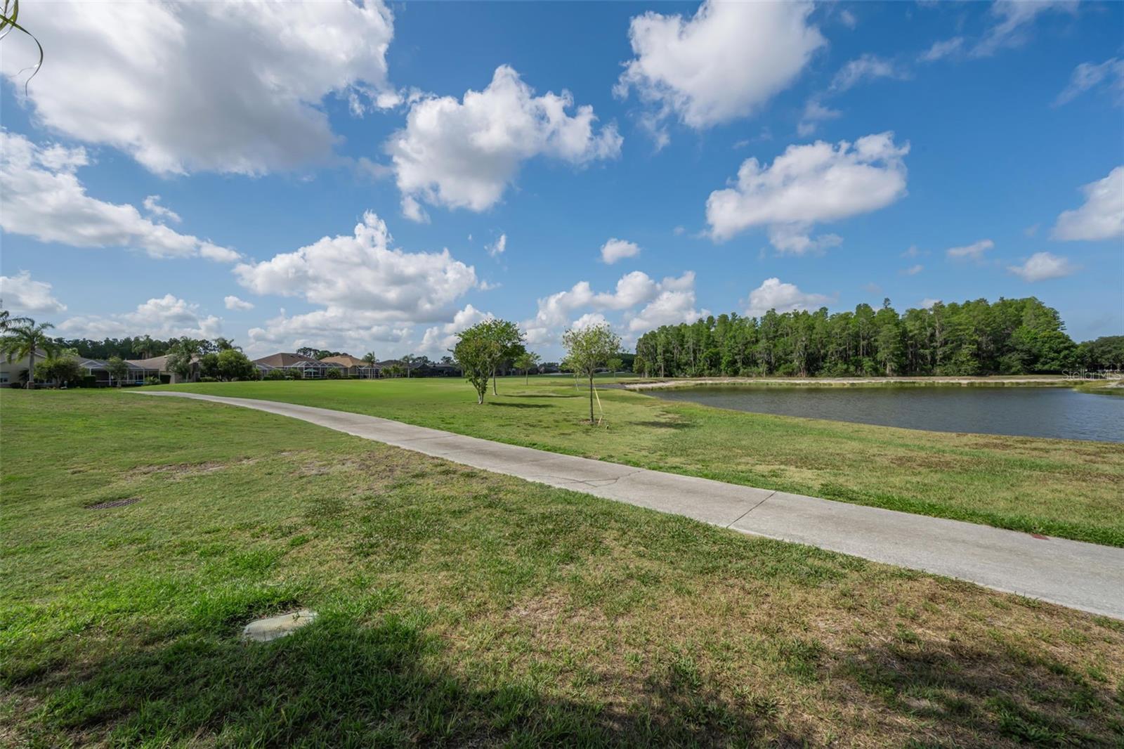 1520 WINDING WILLOW DR, TRINITY, FL, 34655