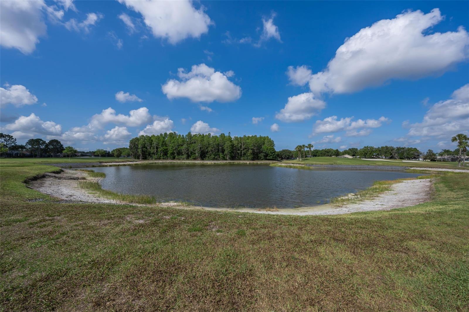 1520 WINDING WILLOW DR, TRINITY, FL, 34655