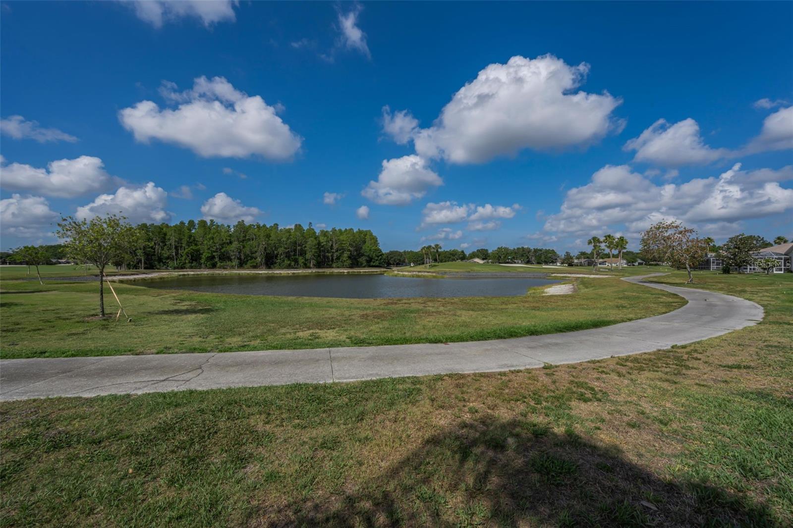 1520 WINDING WILLOW DR, TRINITY, FL, 34655