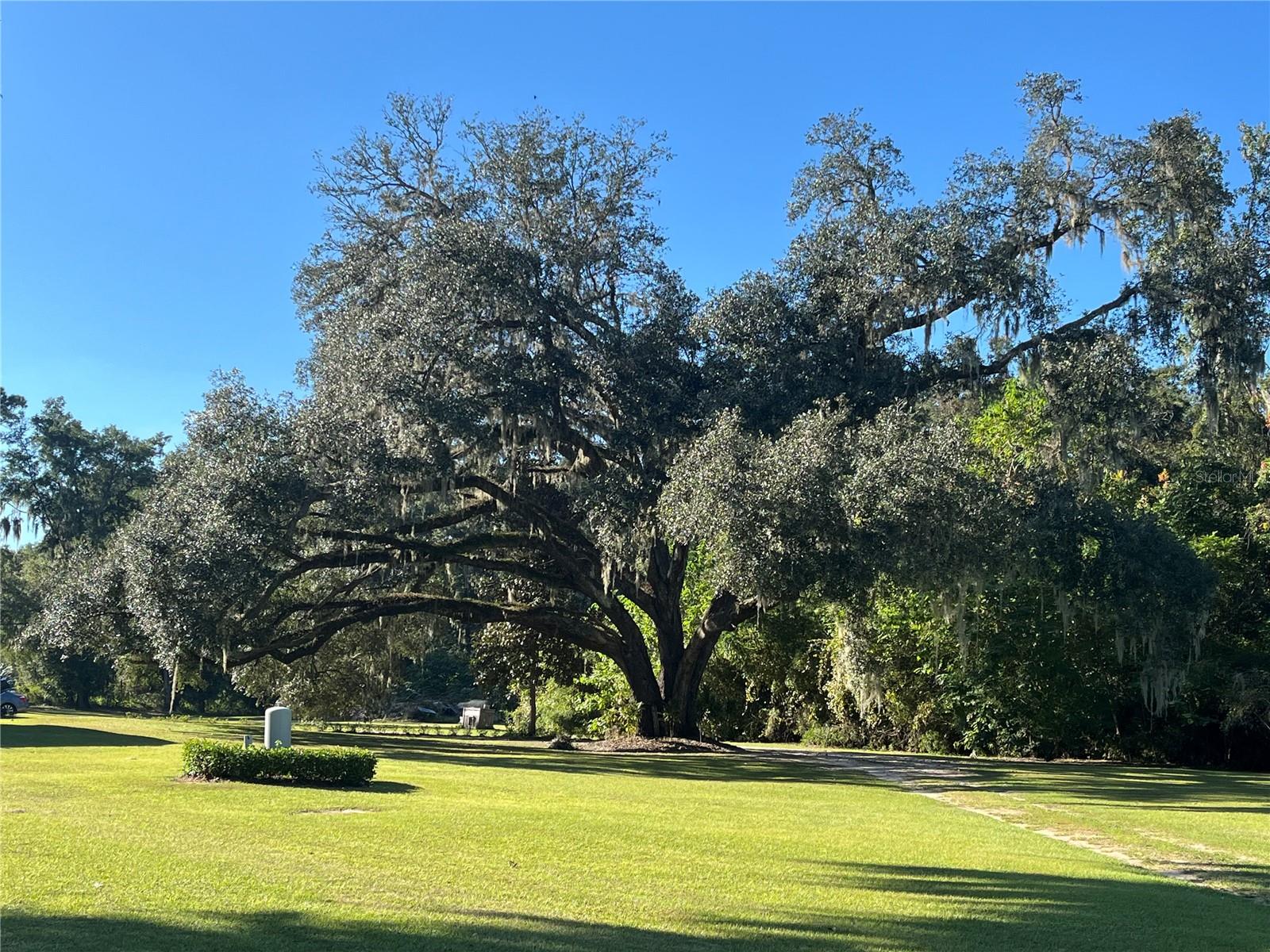 5900 S MAGNOLIA AVE, OCALA, FL, 34471