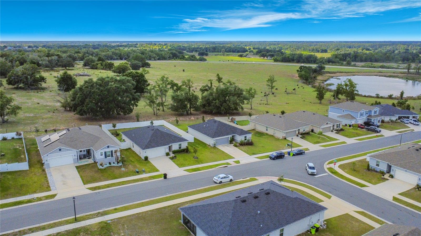 1507 GERANIUM DR, MASCOTTE, FL, 34753