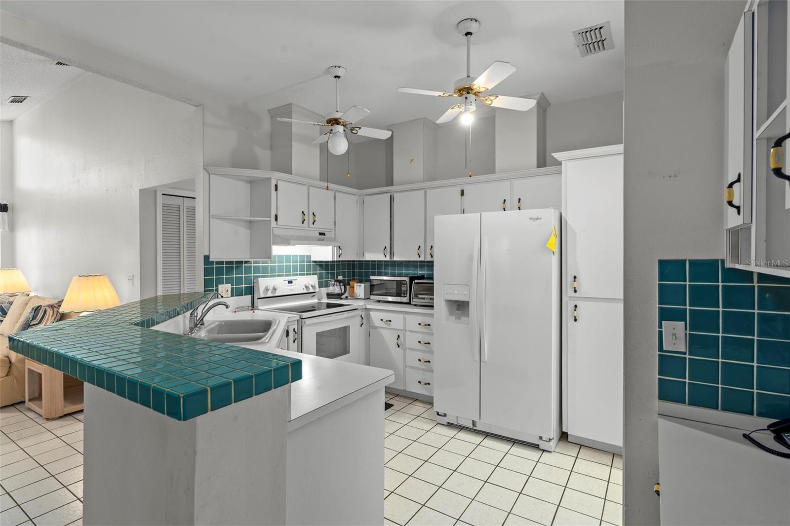 1241 PERSIAN AVE, SPRING HILL, FL, 34608