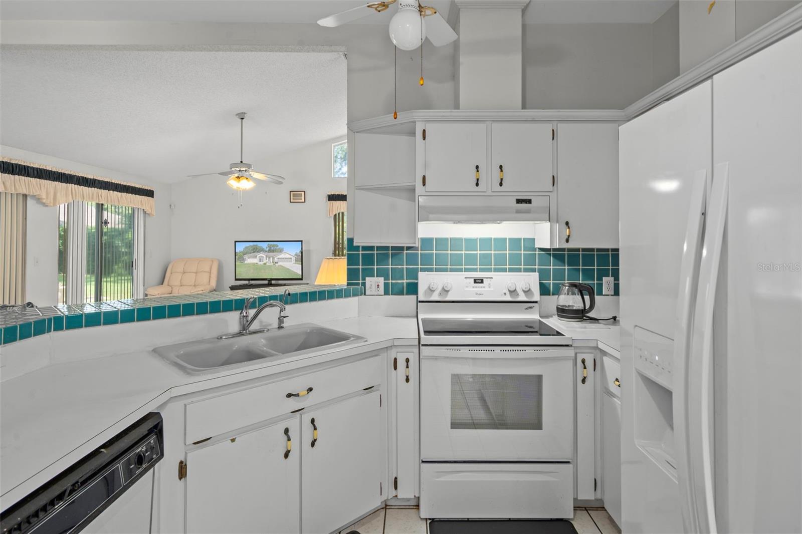 1241 PERSIAN AVE, SPRING HILL, FL, 34608