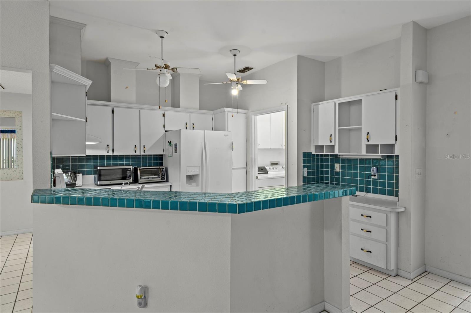 1241 PERSIAN AVE, SPRING HILL, FL, 34608