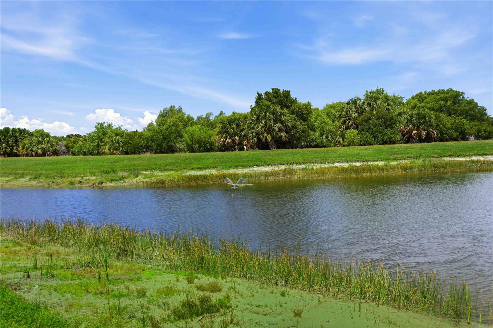 23841 WAVERLY CIR, VENICE, FL, 34293