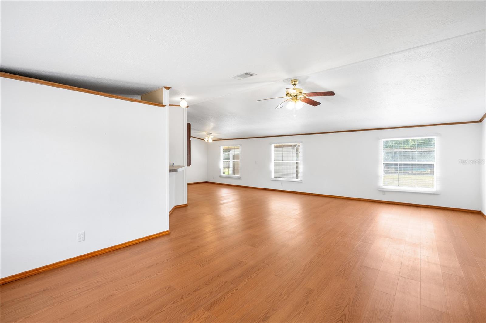 12507 ICEWOOD CT, RIVERVIEW, FL, 33579