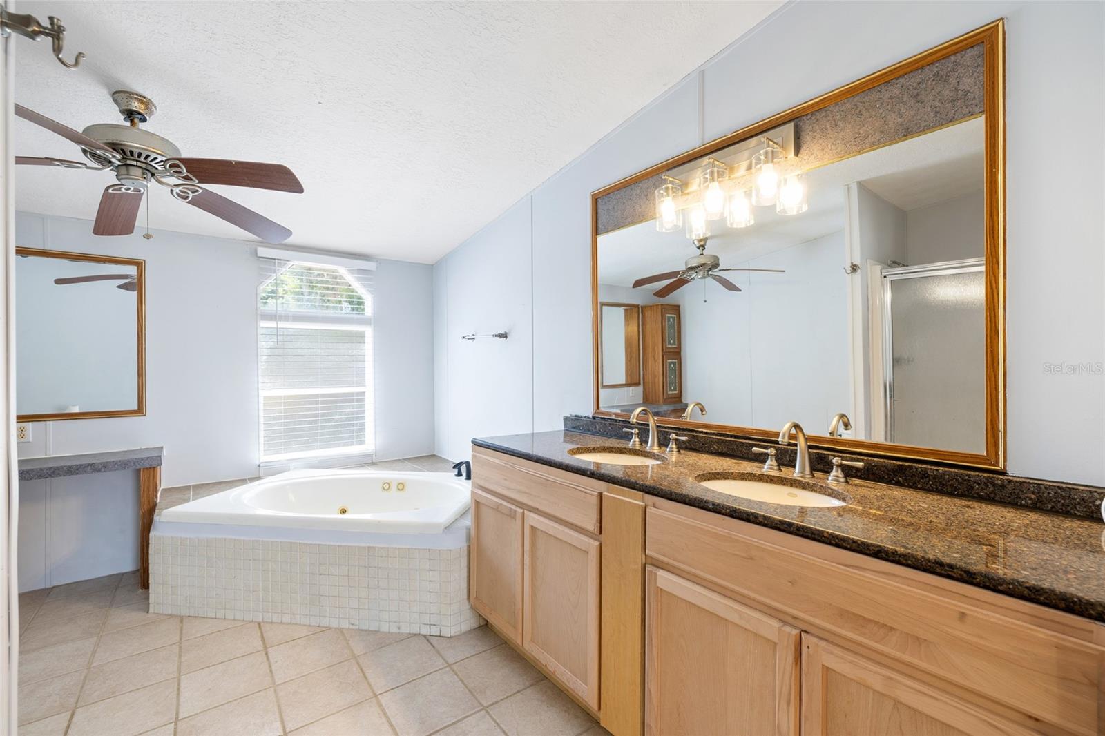 12507 ICEWOOD CT, RIVERVIEW, FL, 33579