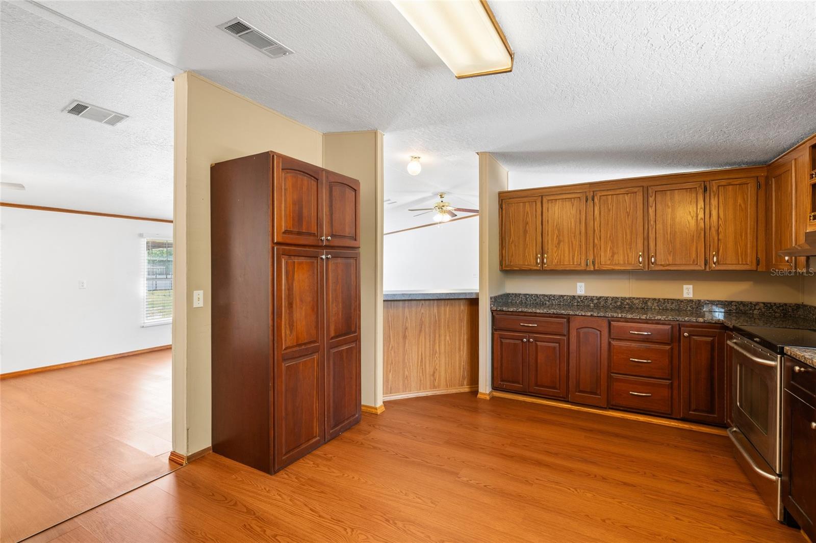 12507 ICEWOOD CT, RIVERVIEW, FL, 33579