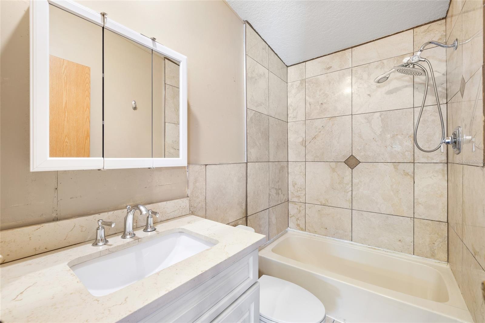 12507 ICEWOOD CT, RIVERVIEW, FL, 33579