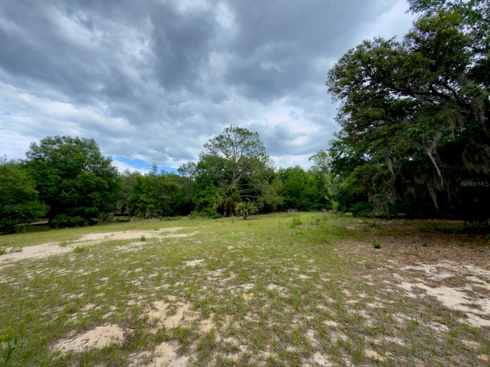 00 SE 146TH TERRACE RD, OCKLAWAHA, FL, 32179