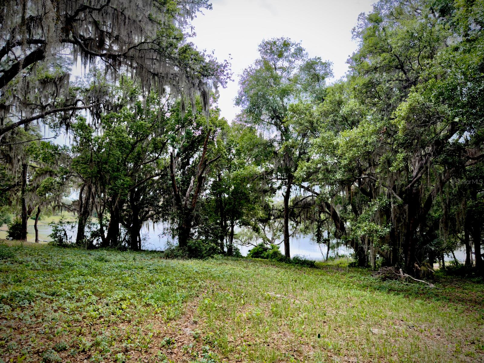 00 SE 146TH TERRACE RD, OCKLAWAHA, FL, 32179
