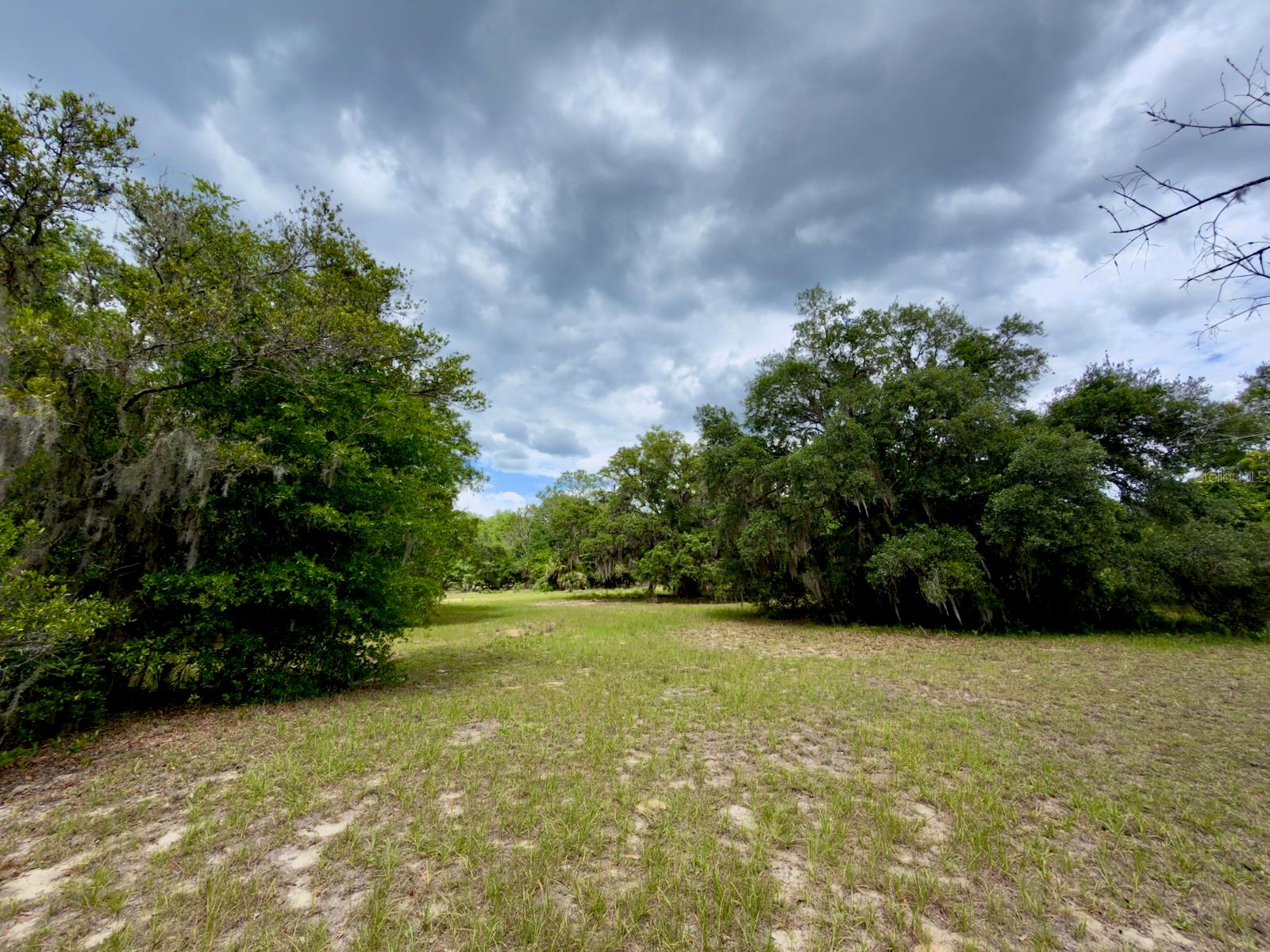 00 SE 146TH TERRACE RD, OCKLAWAHA, FL, 32179