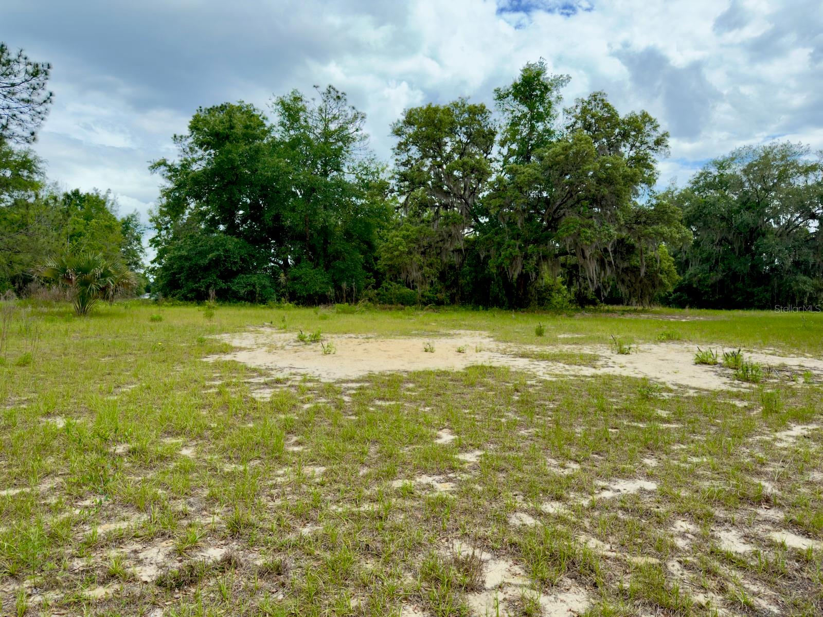 00 SE 146TH TERRACE RD, OCKLAWAHA, FL, 32179