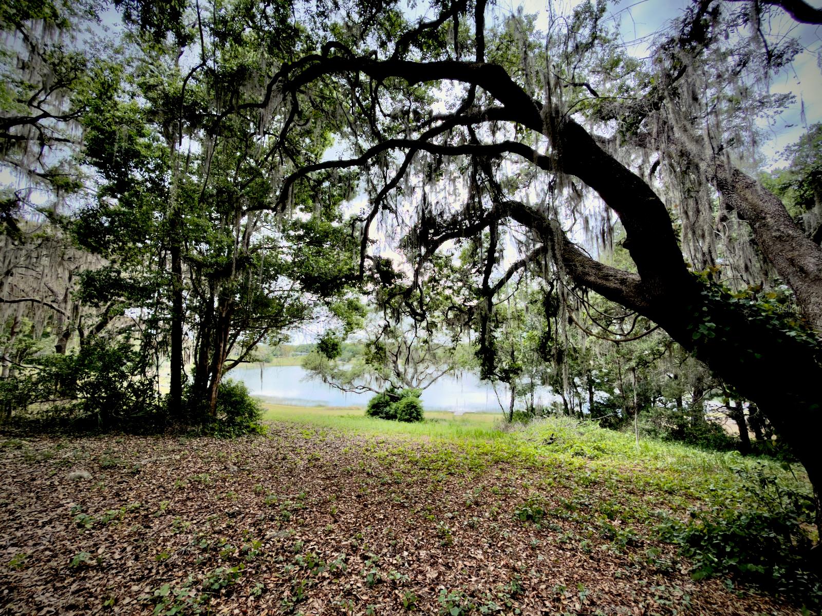 00 SE 146TH TERRACE RD, OCKLAWAHA, FL, 32179