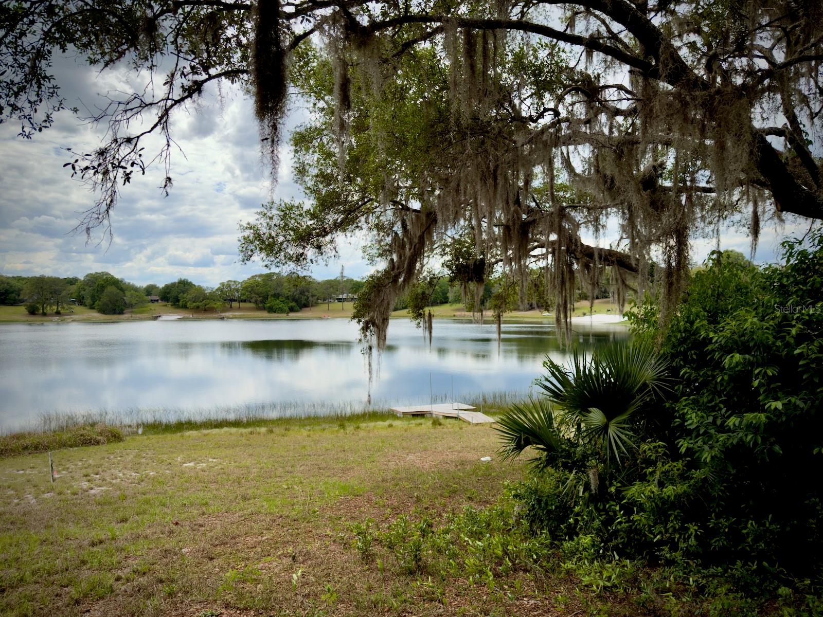 00 SE 146TH TERRACE RD, OCKLAWAHA, FL, 32179