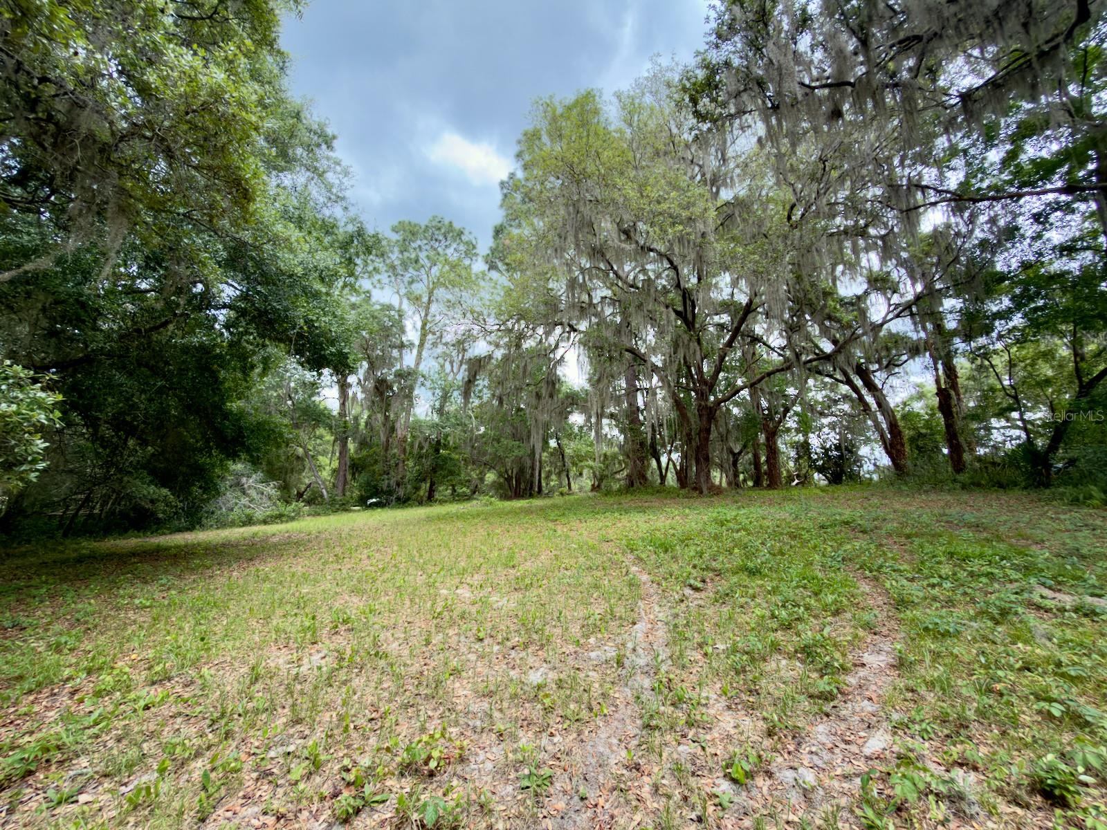 00 SE 146TH TERRACE RD, OCKLAWAHA, FL, 32179