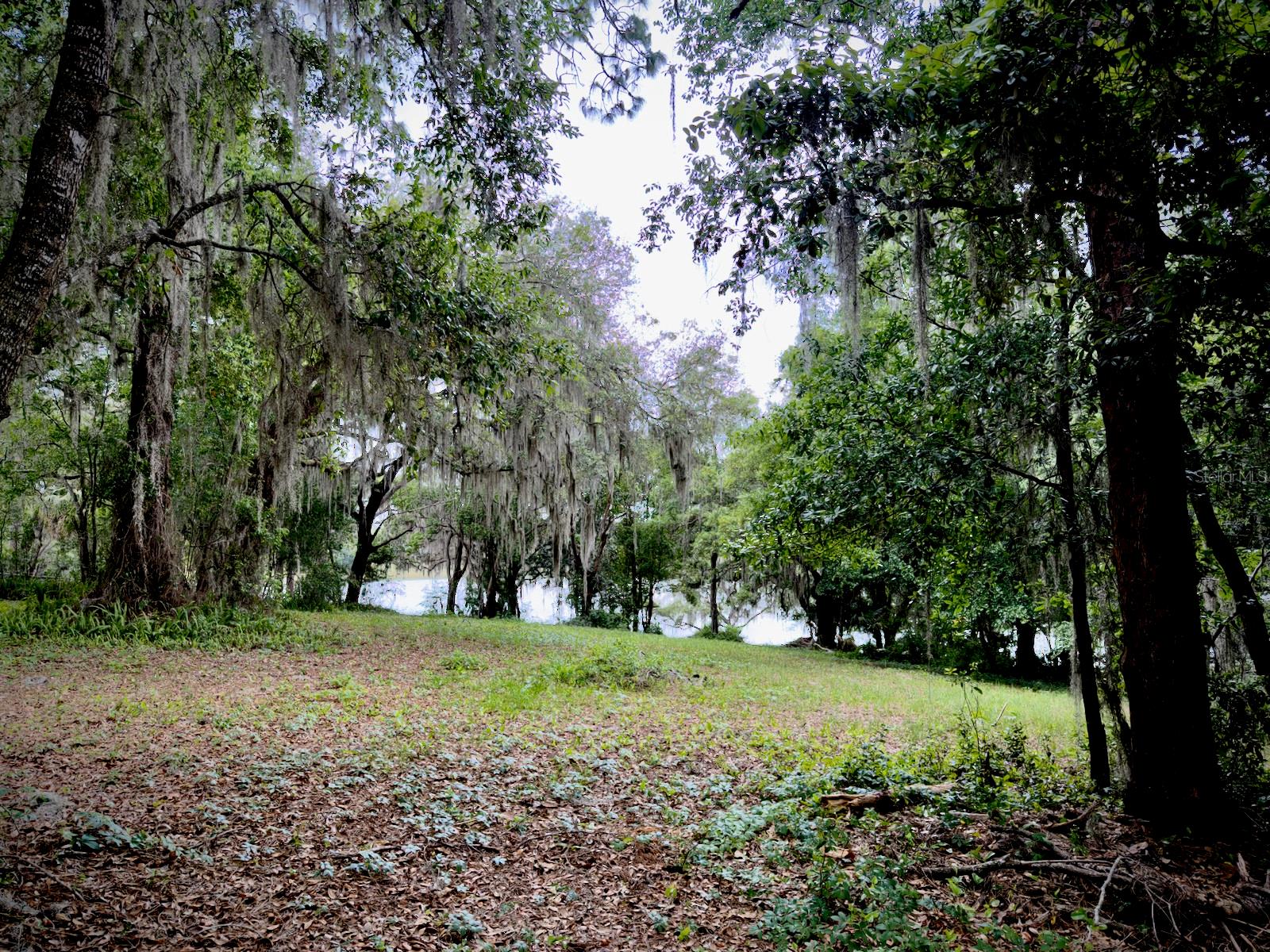00 SE 146TH TERRACE RD, OCKLAWAHA, FL, 32179