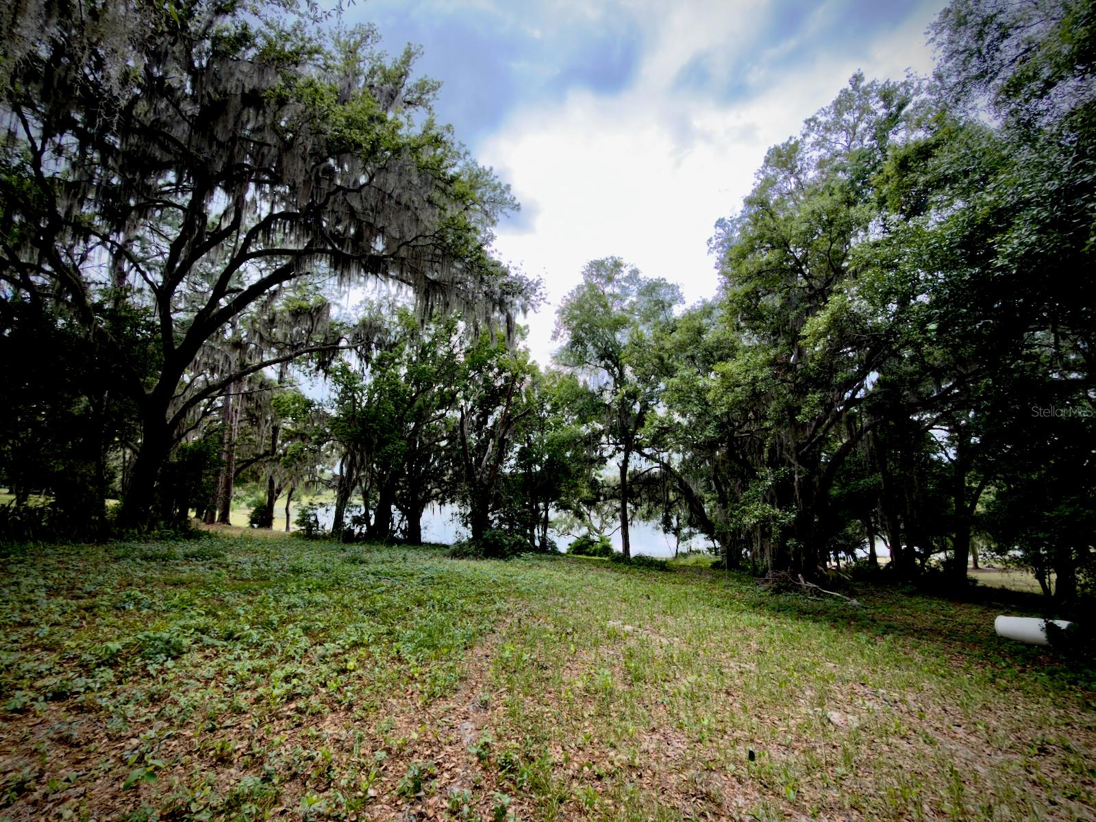 00 SE 146TH TERRACE RD, OCKLAWAHA, FL, 32179