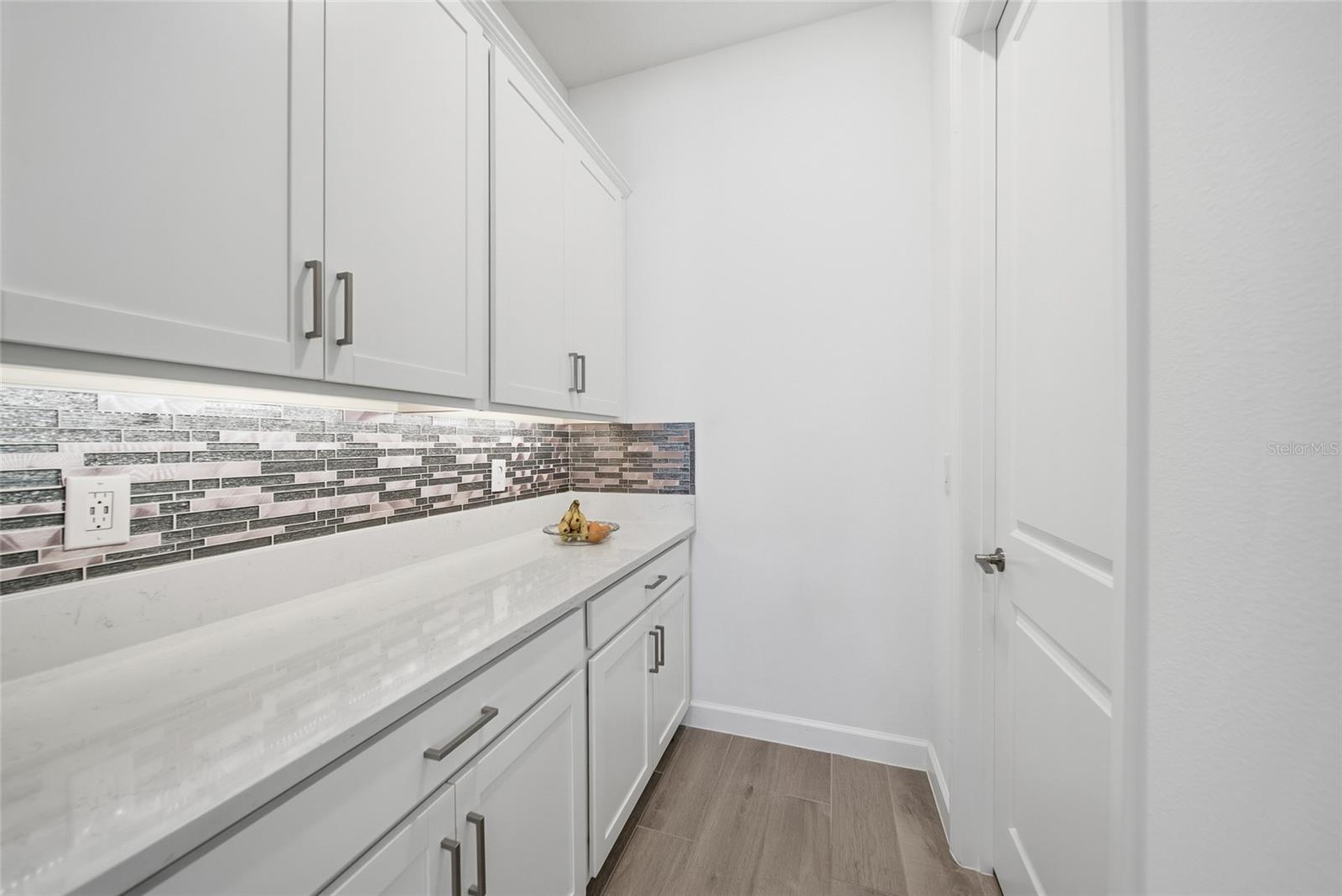 17301 SCUBA CREST ST, WIMAUMA, FL, 33598