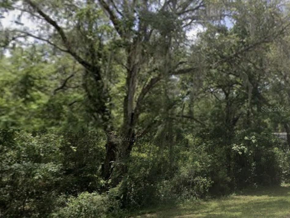 LAKE LINDSEY RD, NOBLETON, FL, 34661