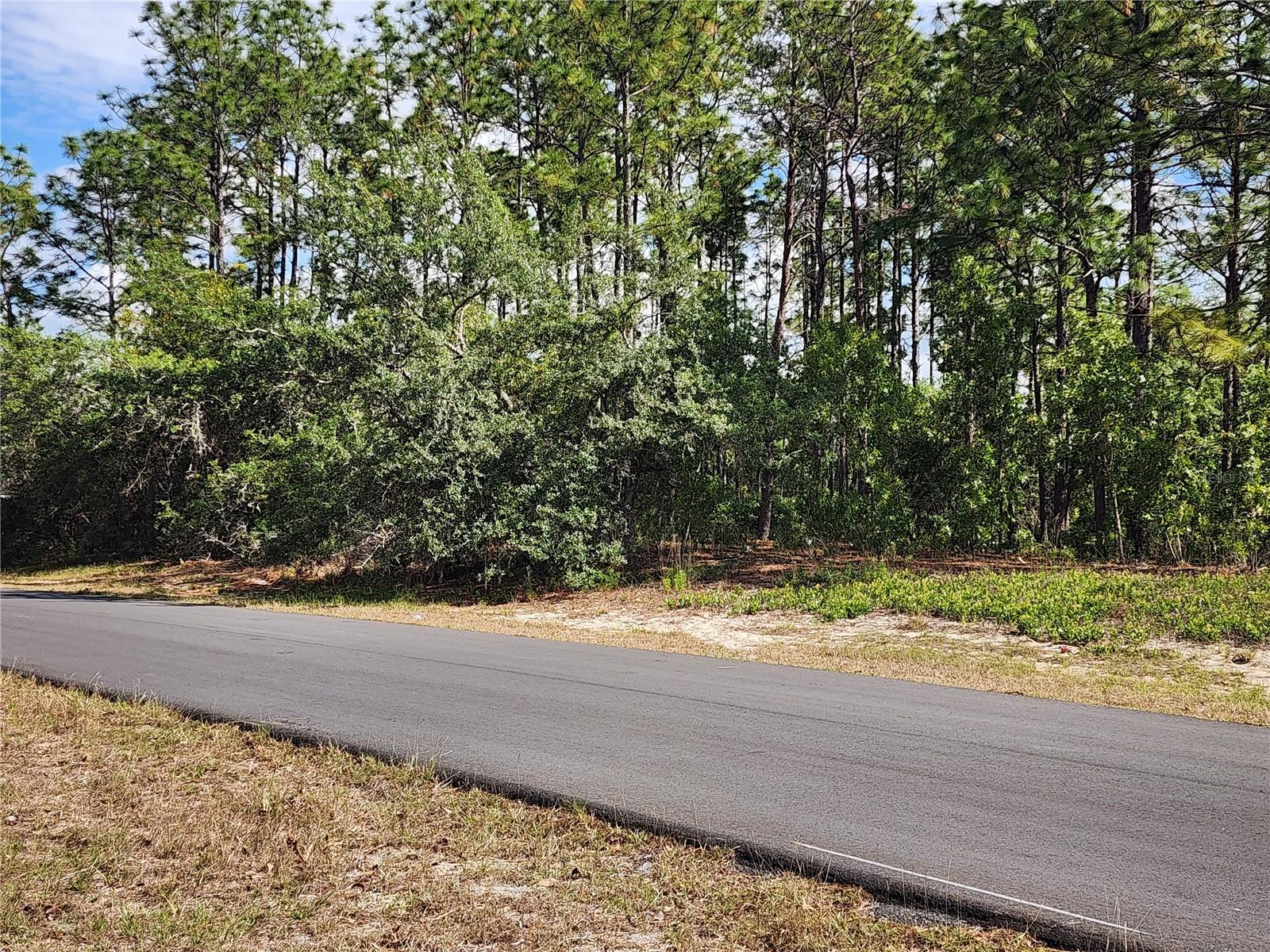 6086 SW 154TH LANE RD, OCALA, FL, 34473