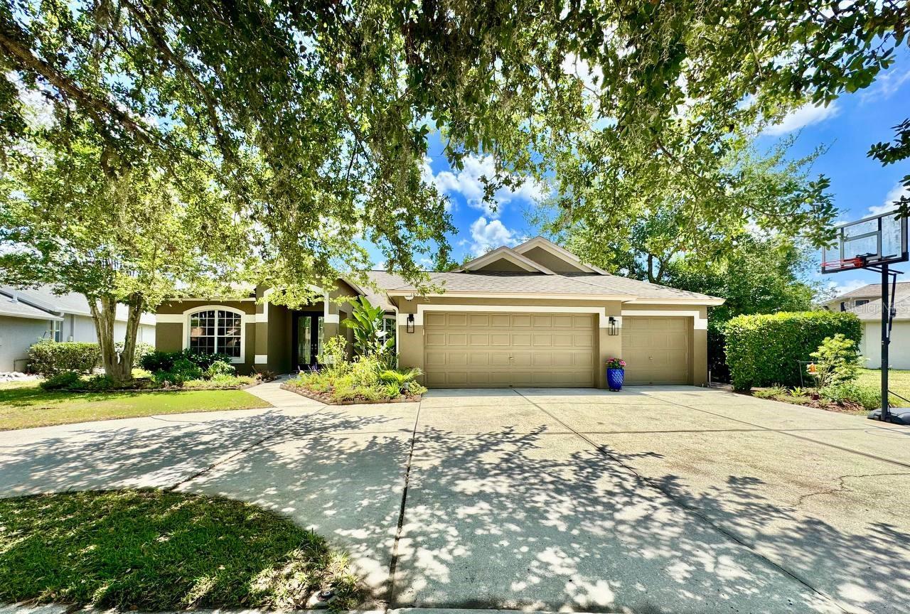16934 MELISSA ANN DR, LUTZ, FL, 33558