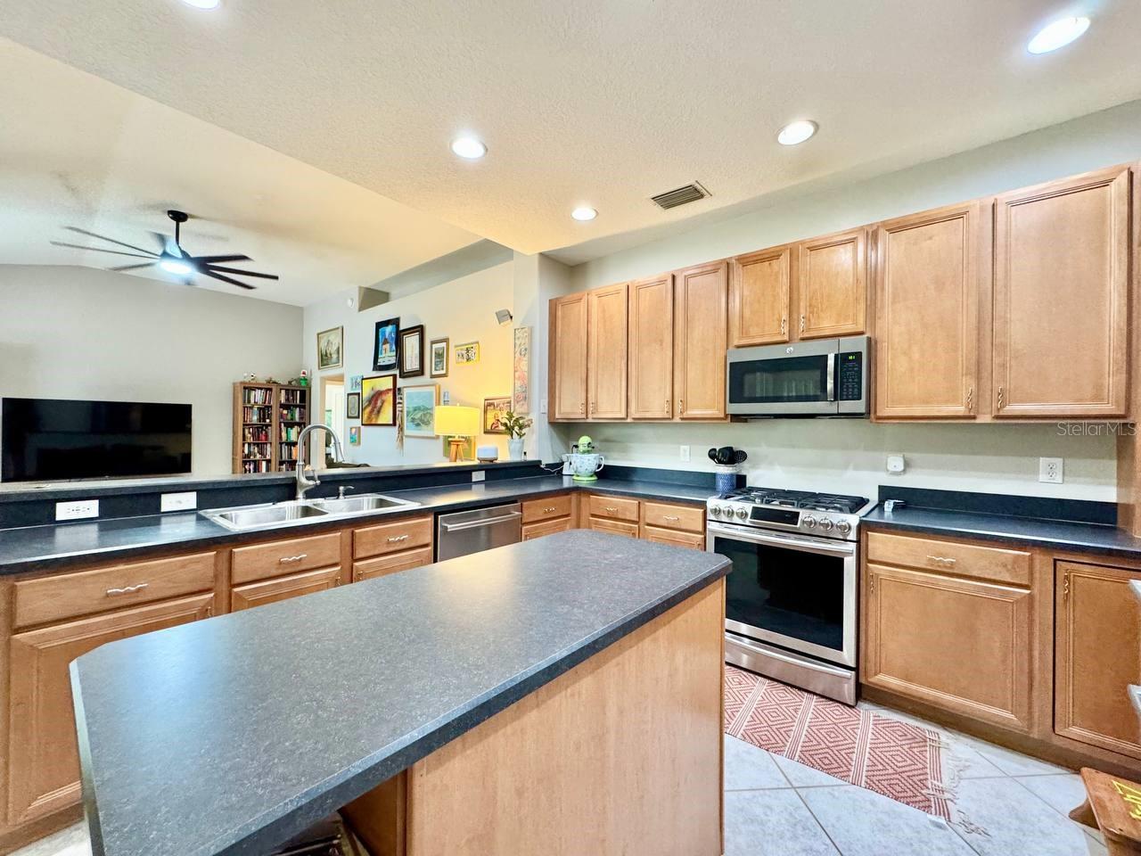 16934 MELISSA ANN DR, LUTZ, FL, 33558