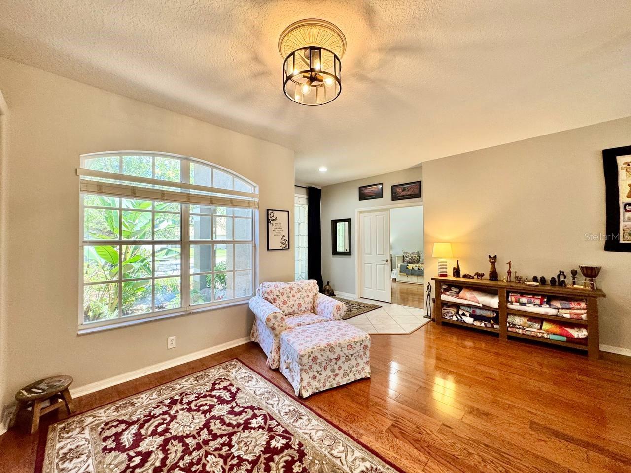 16934 MELISSA ANN DR, LUTZ, FL, 33558