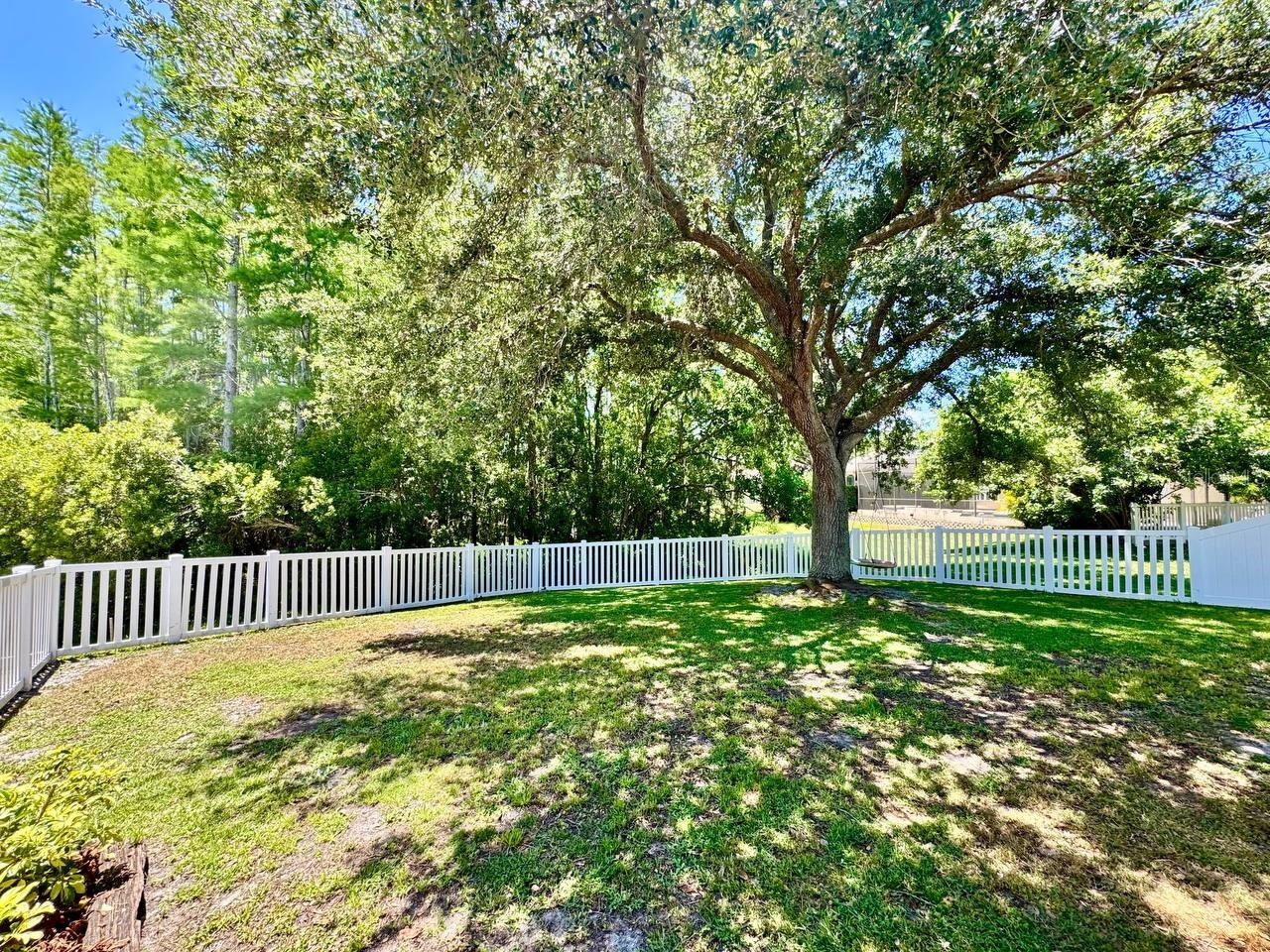 16934 MELISSA ANN DR, LUTZ, FL, 33558