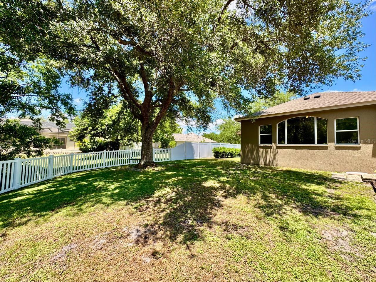 16934 MELISSA ANN DR, LUTZ, FL, 33558
