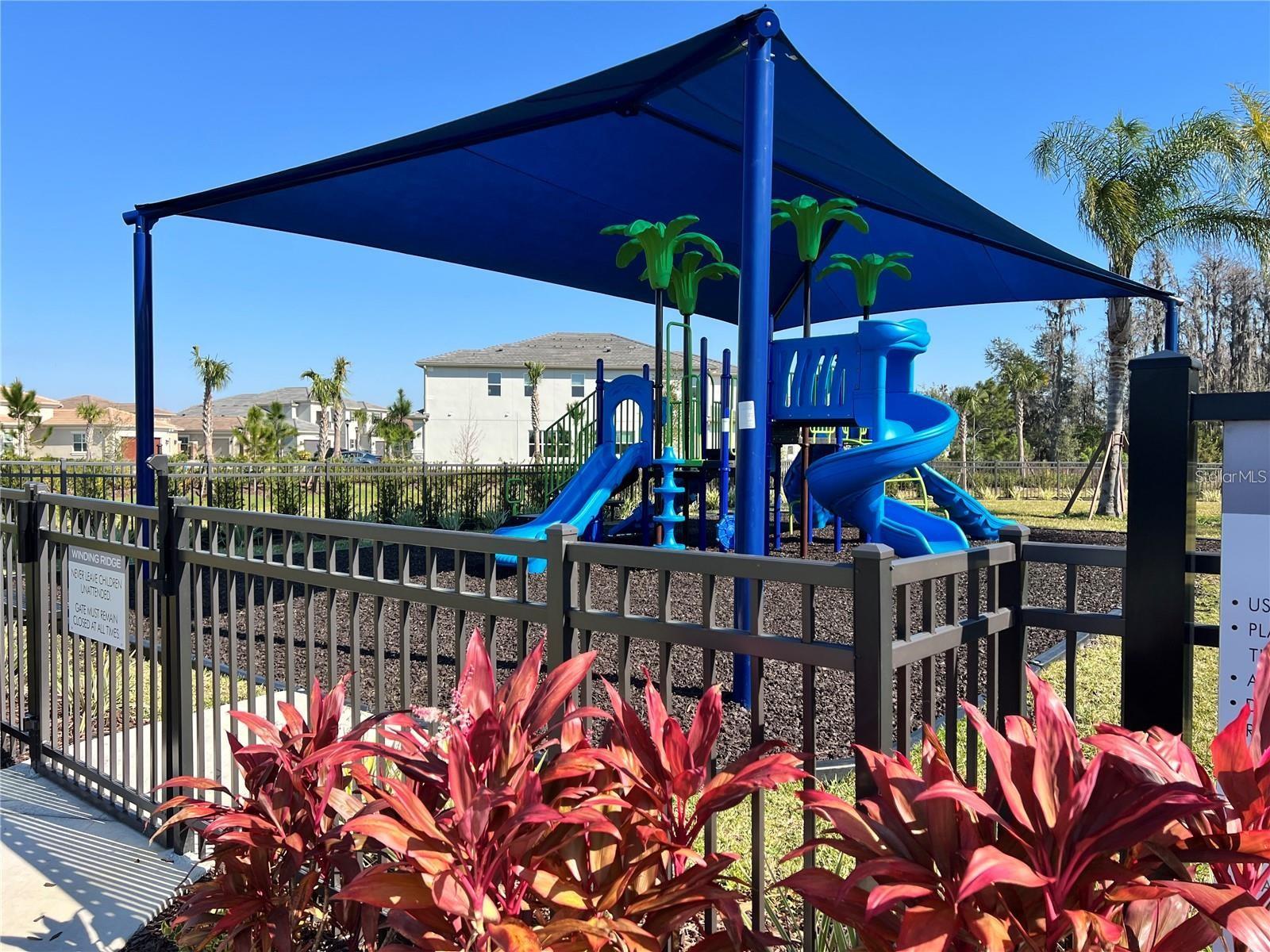 3281 GREAT BANYAN WAY, WESLEY CHAPEL, FL, 33543